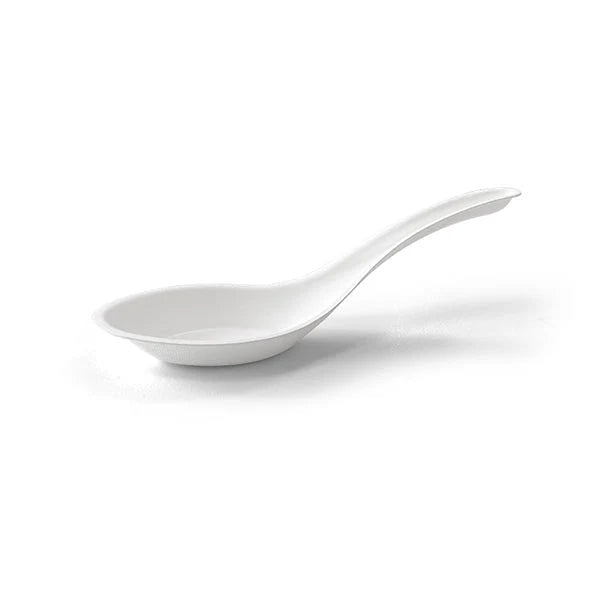 Chinese Bio Soup Spoon Large
